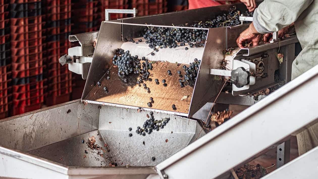 Malla de acero inoxidable: aplicaciones en industria alimentaria