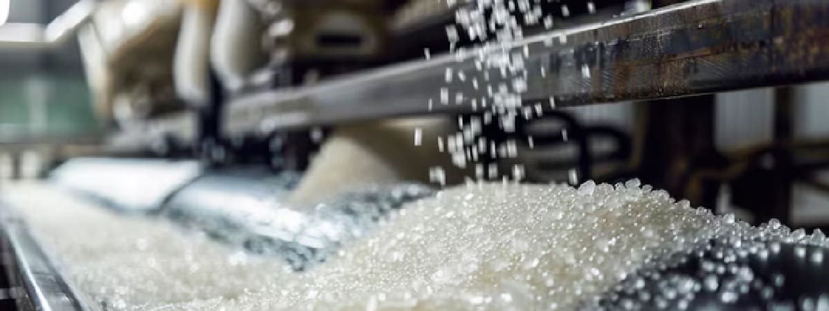 Cribado de azúcar y edulcorantes: retos de higiene y estática